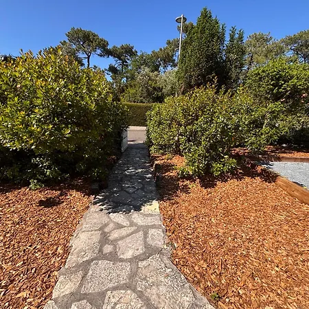 Yellowstone * La Teste-de-Buch