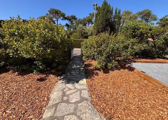 Yellowstone * לה-טסט-דה-בוש